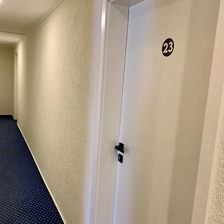 Hotel Zum Pfalzgrafen 2* Heidelberg