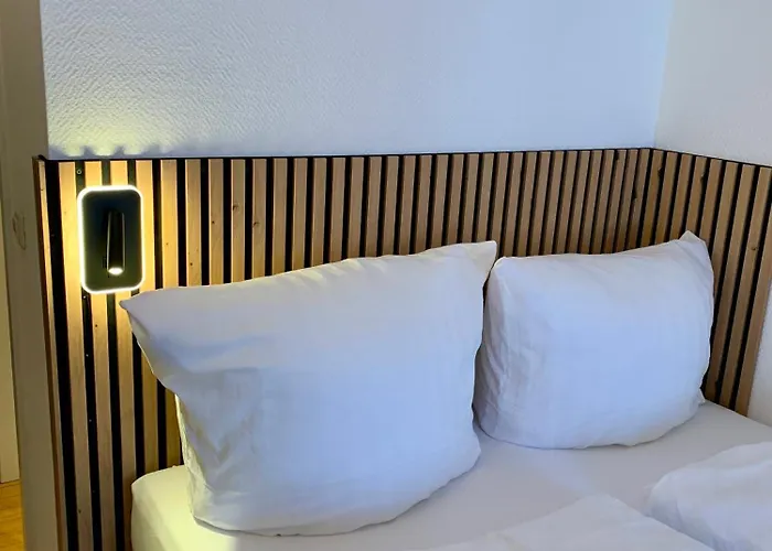 فندق Zum Pfalzgrafen 2*