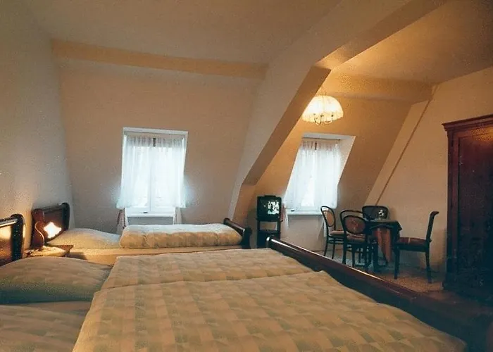 فندق Zum Pfalzgrafen